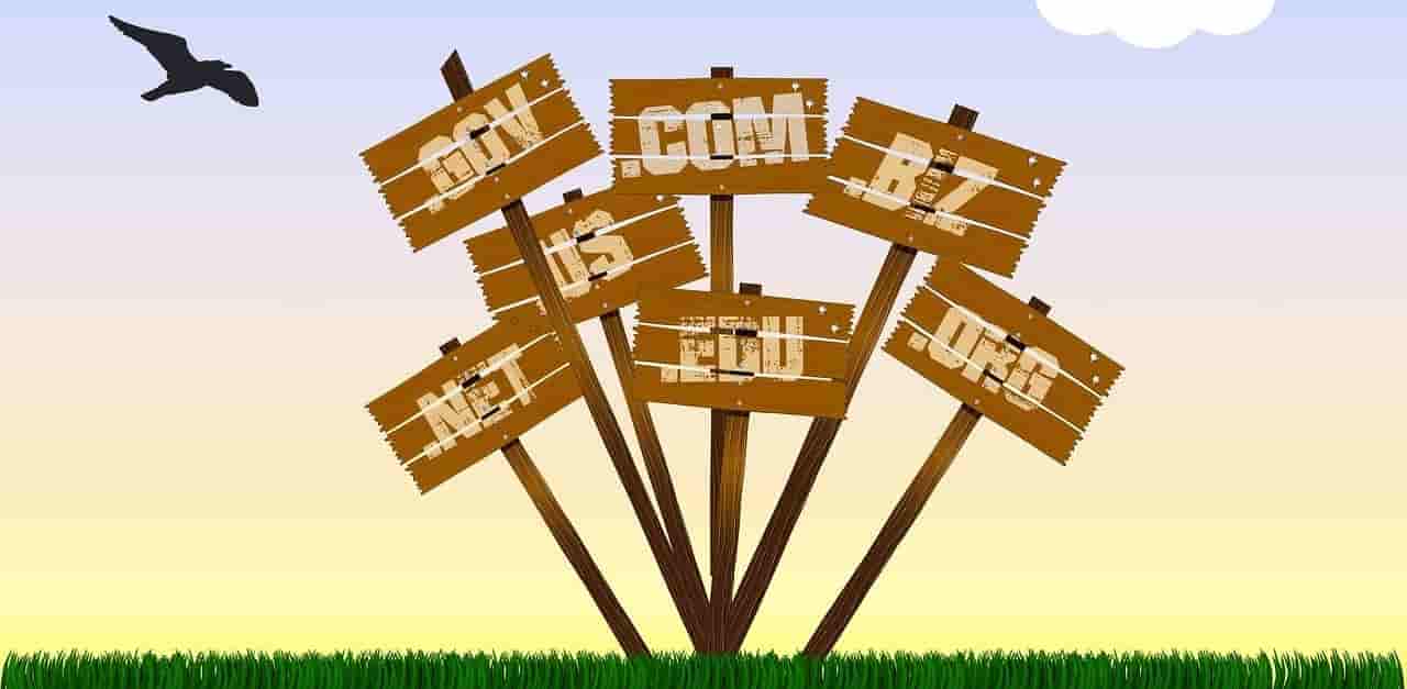 Domain tulajdonos kereső: